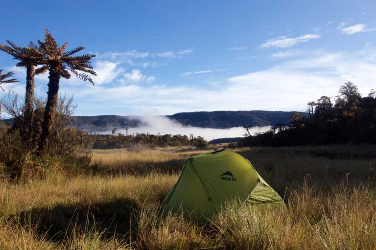 green tent standing in gras with blue sky