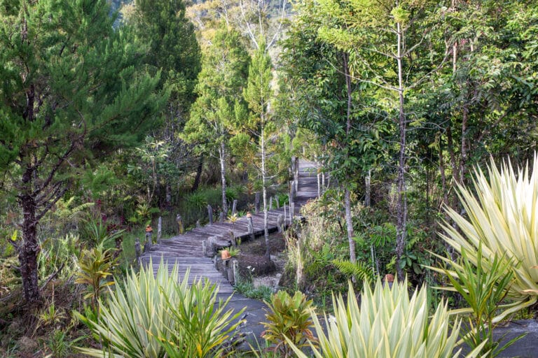 Innerer Garten im The Baliem Valley Resort